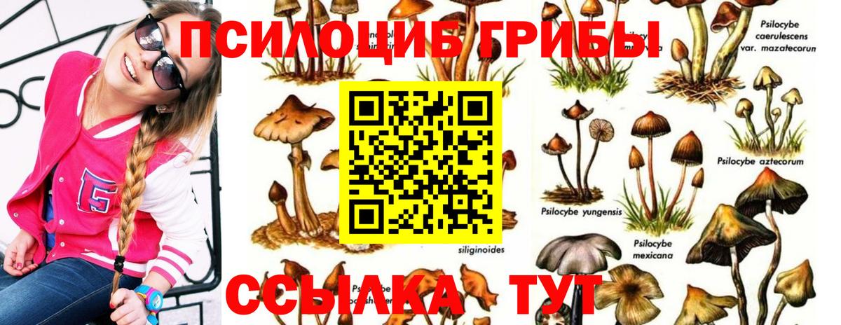 Галлюциногенные грибы GOLDEN TEACHER Зеленокумск