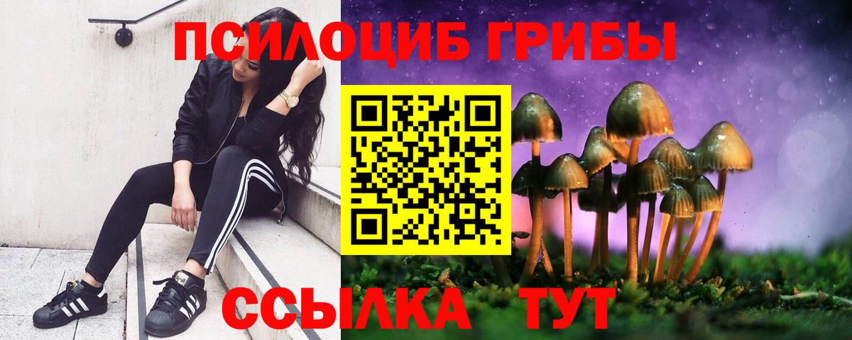 Зеленокумск  Галлюциногенные грибы Magic Shrooms  Вход с VPN  Псилоцибиновые грибы прущие грибы 